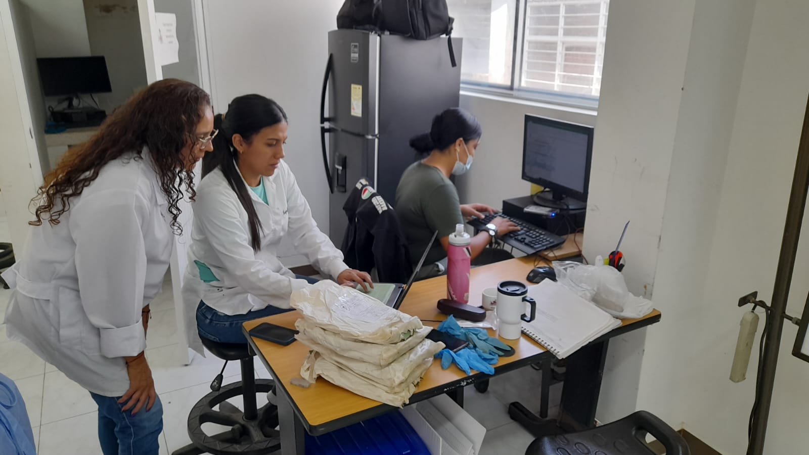 Servicio 02